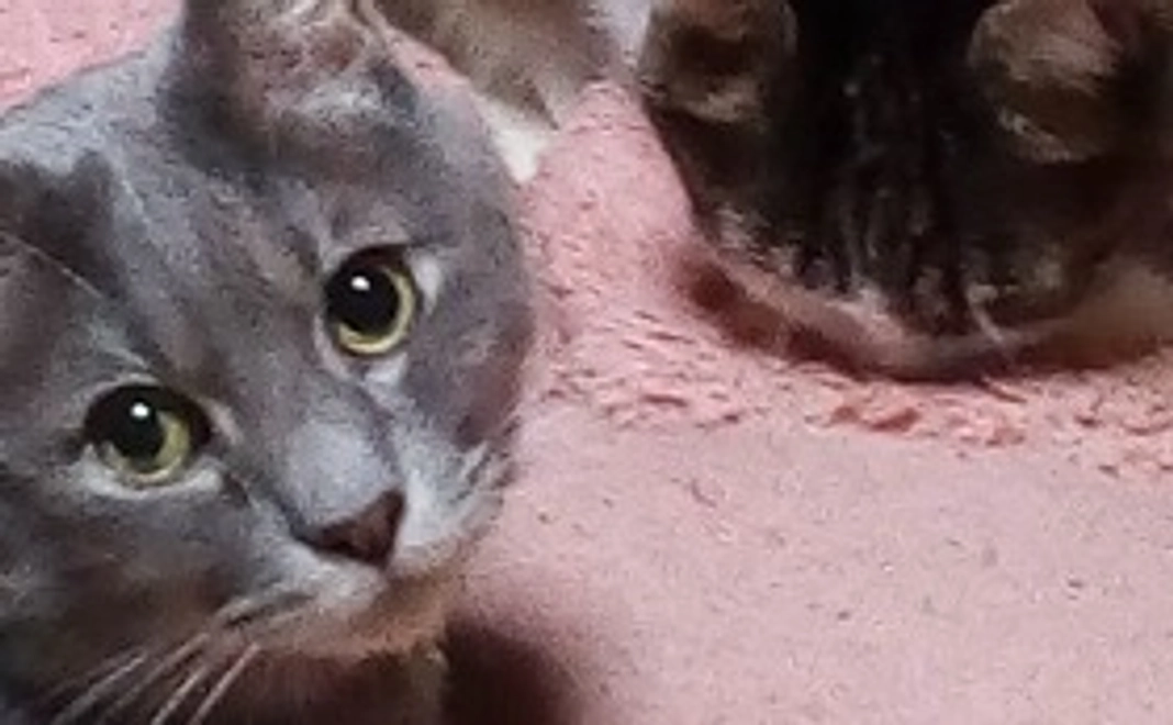 ご協力お願い申し上げます。