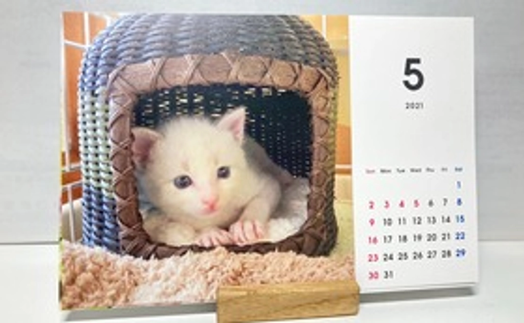 お礼のメールと「猫のしらす」カレンダー