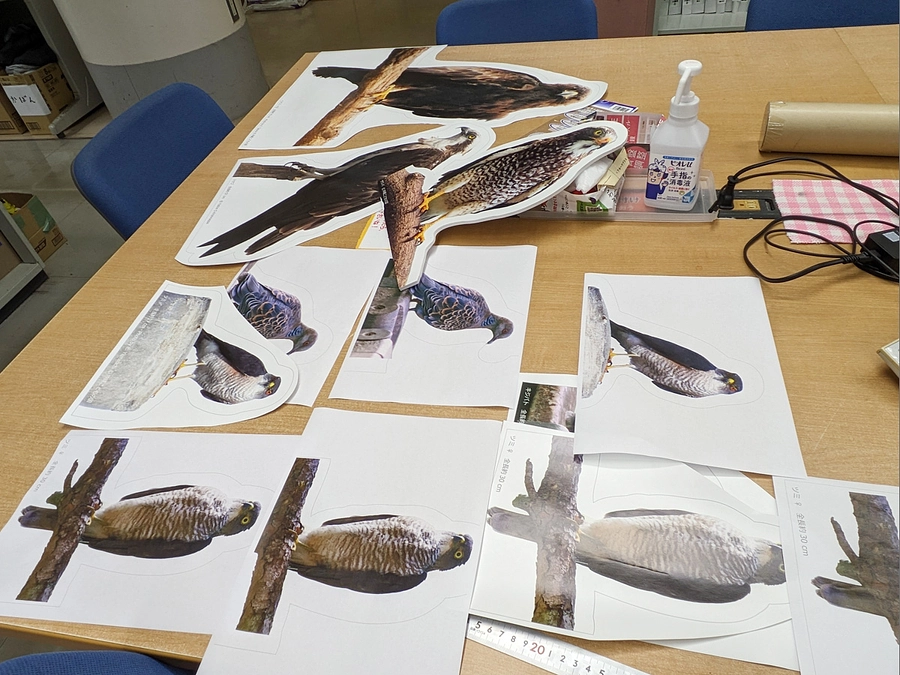 またまた実寸大とたたかう