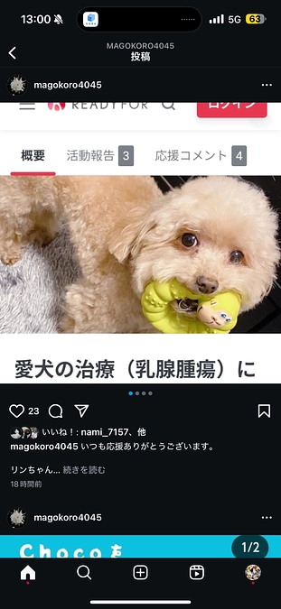 残りの乳腺腫瘍が酷くなってます。。