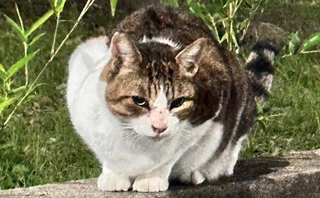 感謝のメール１