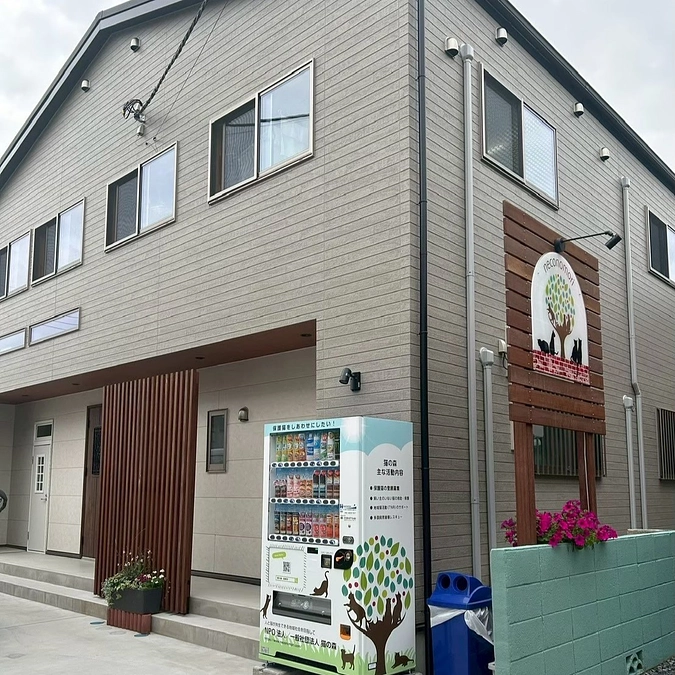 シン・猫の森ハウス始動から半年が経って・・・