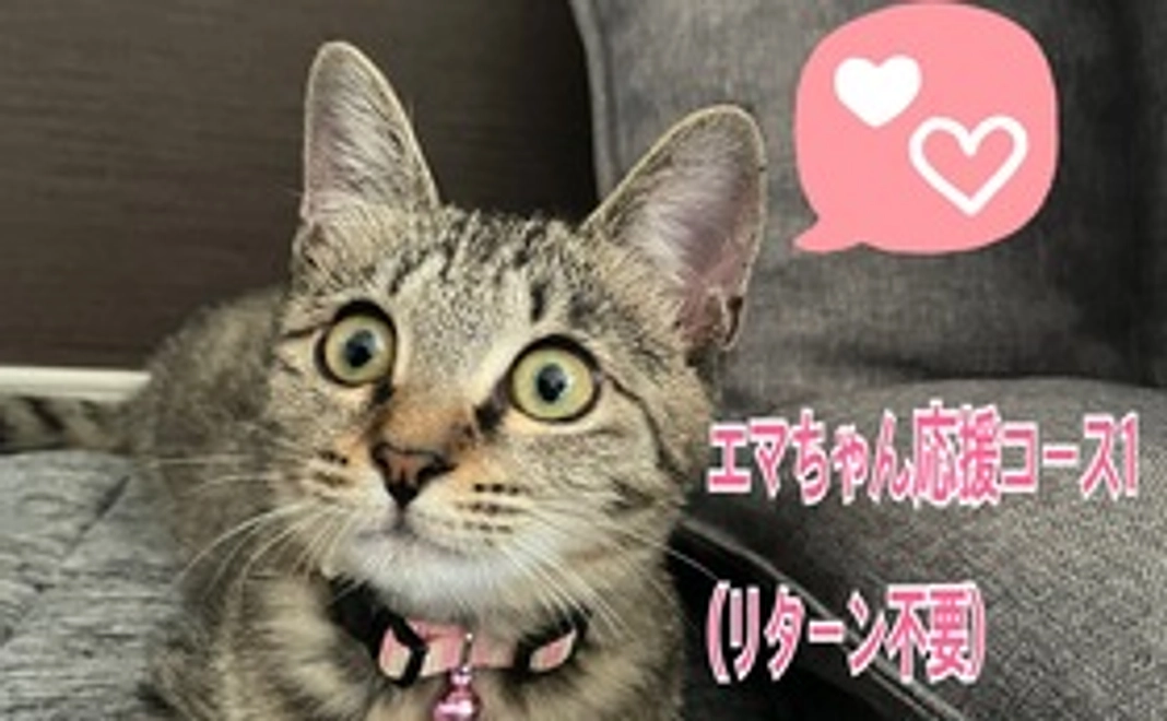 エマちゃん応援コース1(リターン不要)