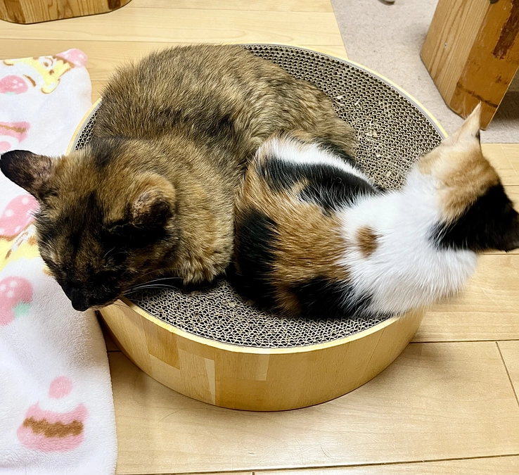 おばあちゃんとも仲良し♡