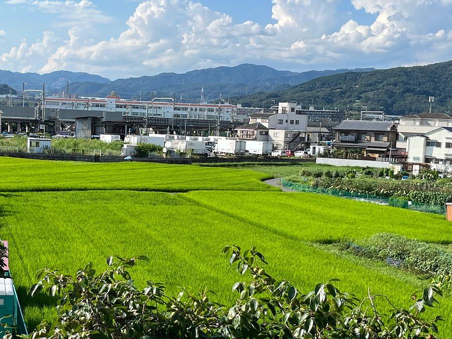 古民家は裏に田んぼが広がる静かな場所にあります