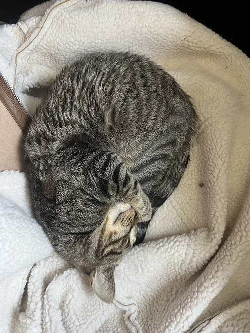 本日投薬84日目です