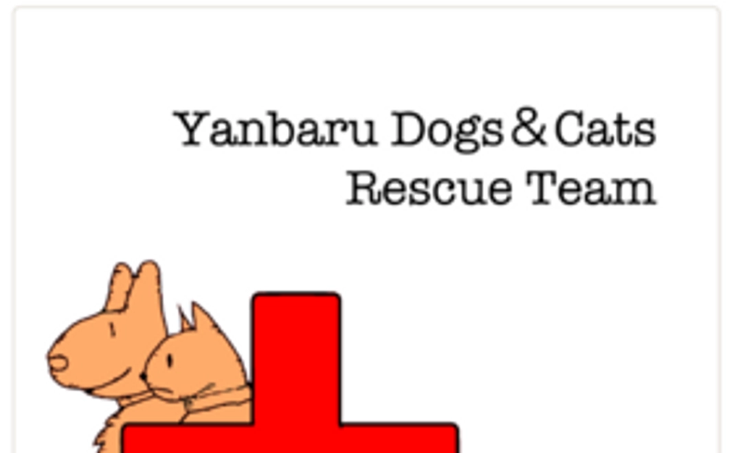 御礼のメールと活動報告