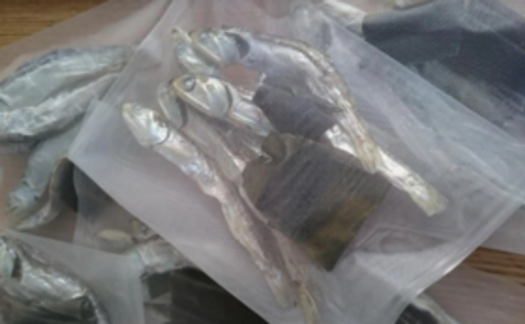 【だしパック応援セット】　　だしパック（6個入）1袋　＋ダシラ―認定証