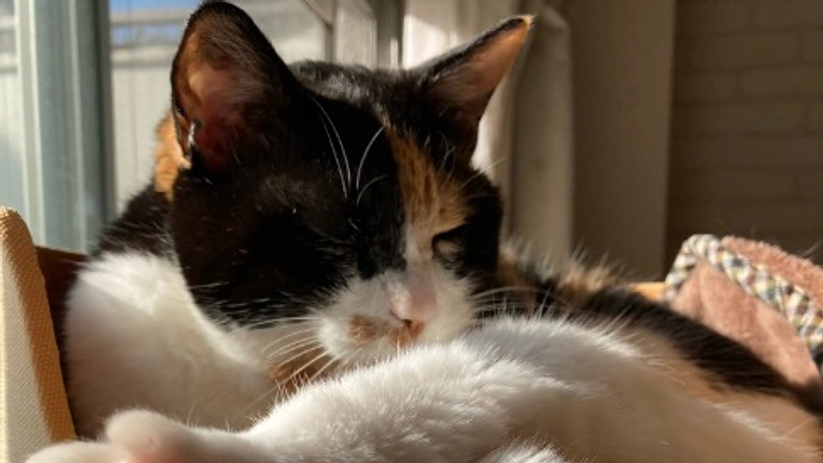 ■活動報告_3：今日も通院day。