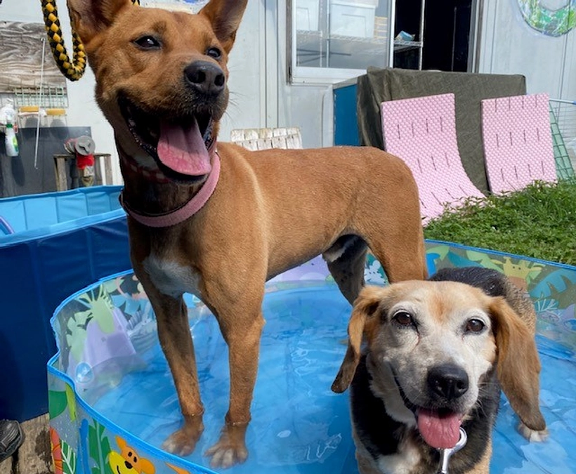 【シェルターNEWS】2023年7月から12月までの振り返り