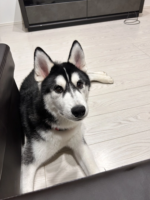 後18日です！！