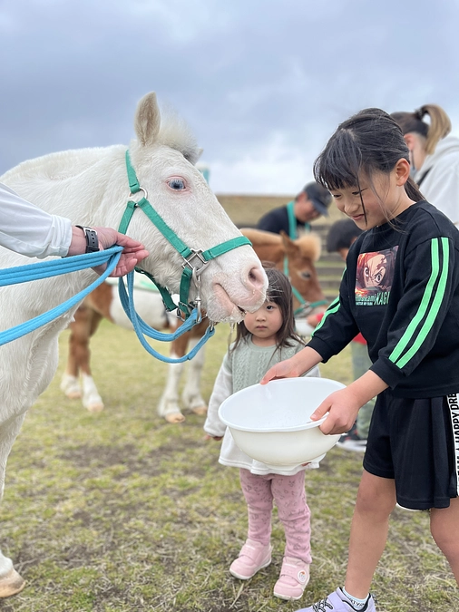 なぜ「ホースセラピー」なのか？