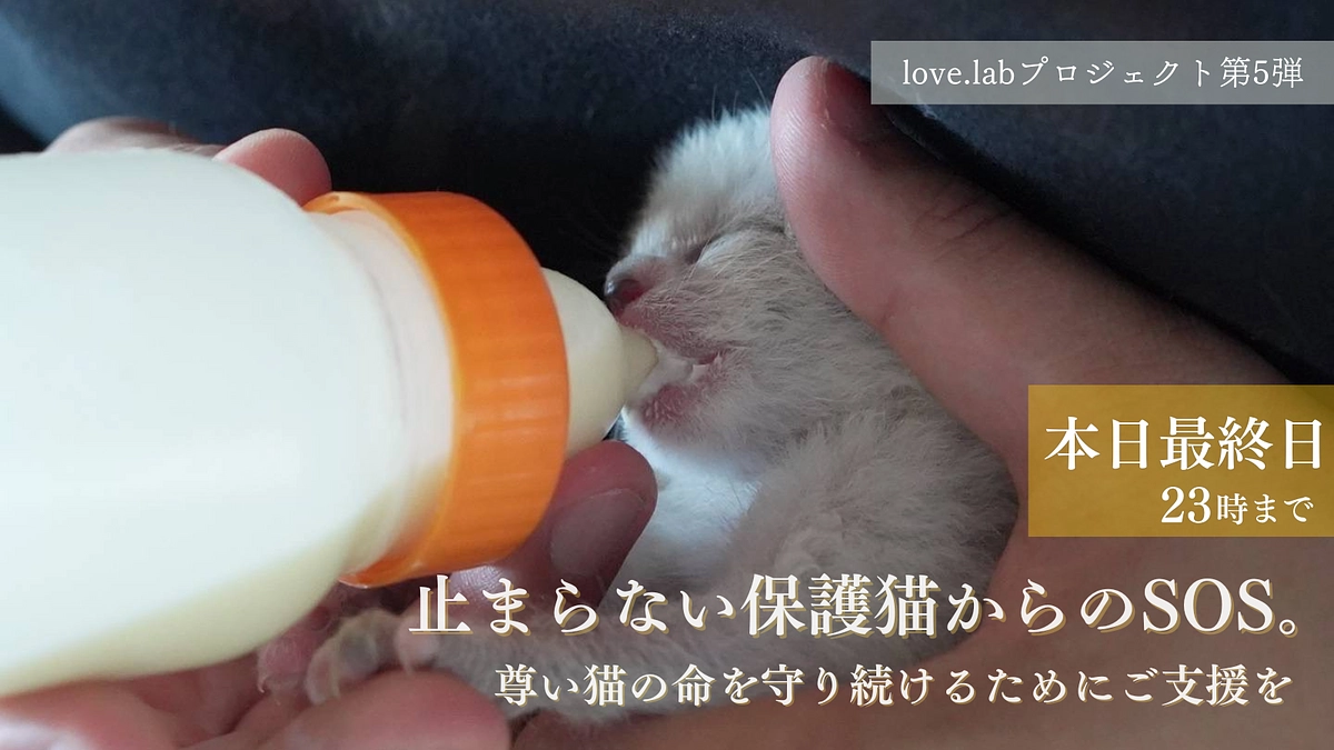 　【最終日】皆様の応援が力に。最後まで、どうぞよろしくお願いいたします！