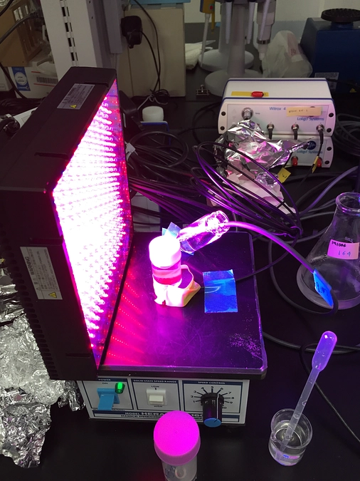 ウミウシ聴診器　零号機