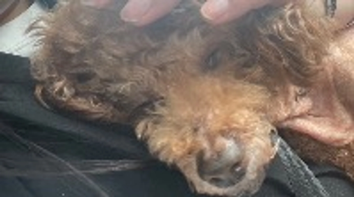 皆様のおかげで無事達成する事ができました🎉