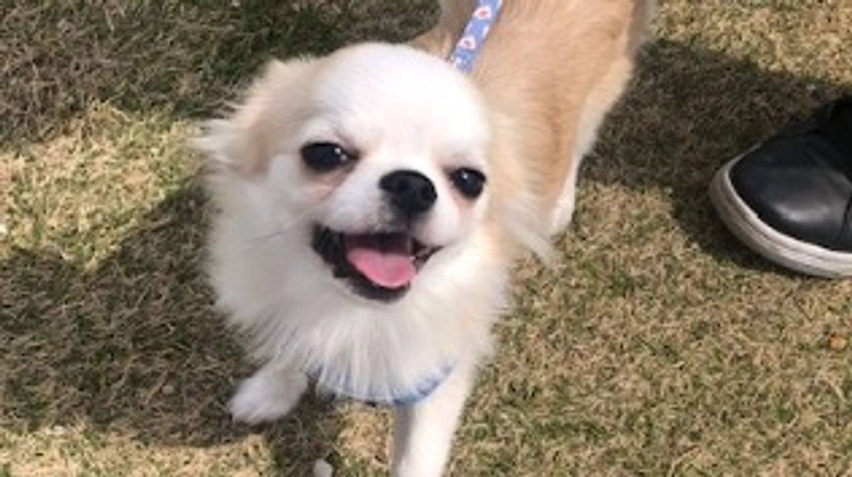 最終日です！あと4時間です！