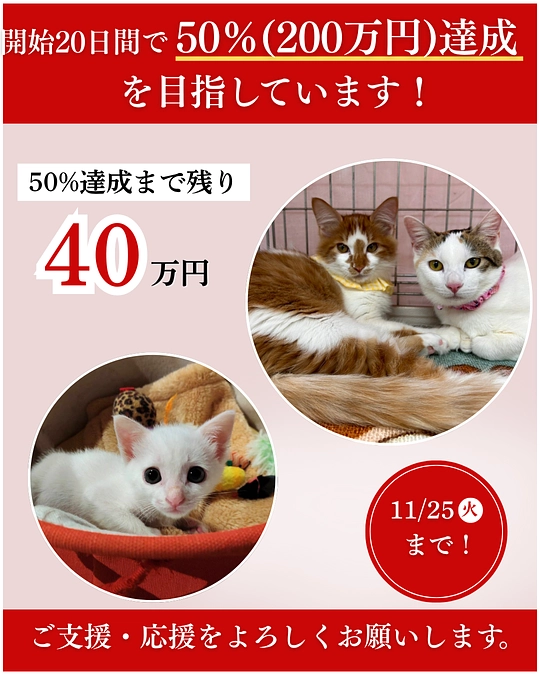 第二関門突破へご協力をお願いいたします🙇‍♀️