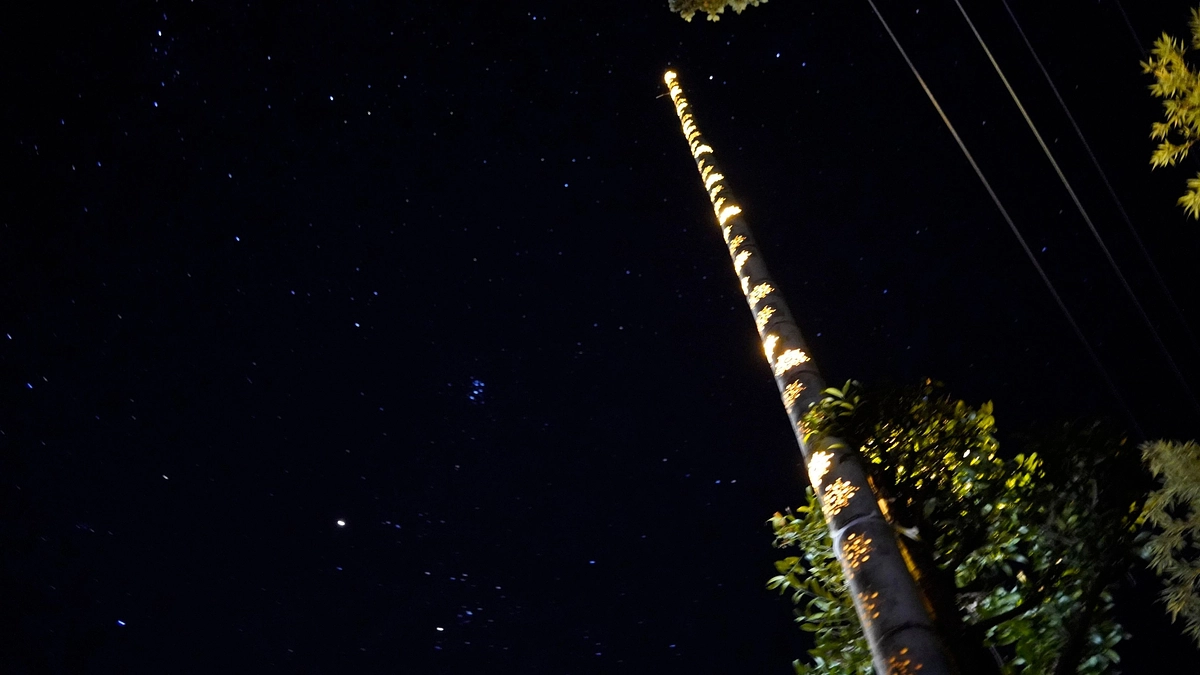 残り４日です。随分と寒くなってきました。