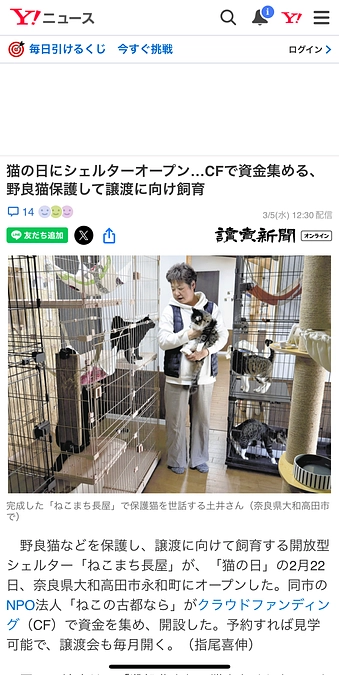 読売新聞さんに掲載されました🐱