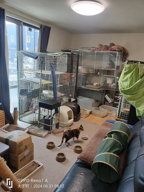 腎臓病ステージ4の朝の投薬とネブライザー治療