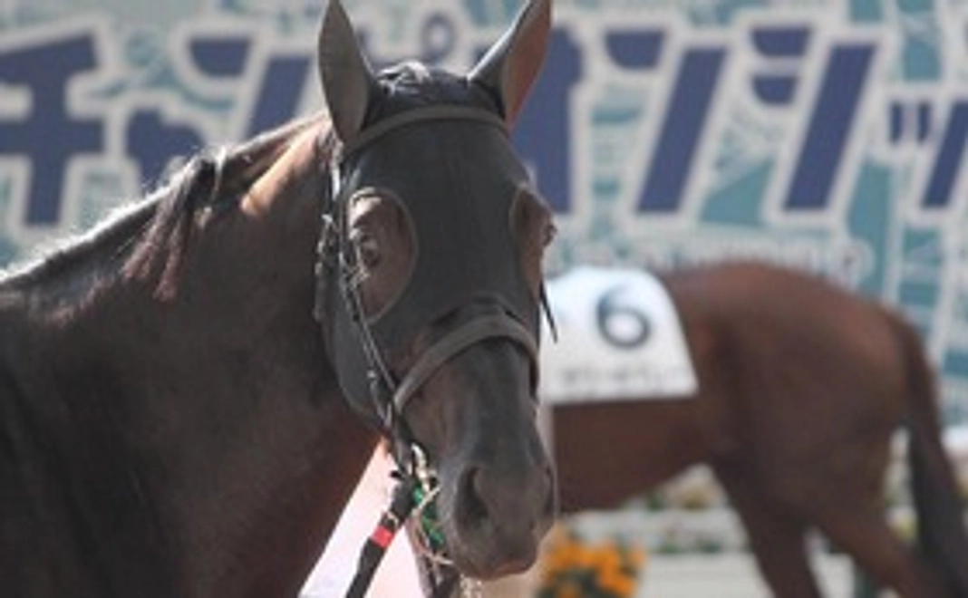 第二の人生を支えたい 感謝のメール