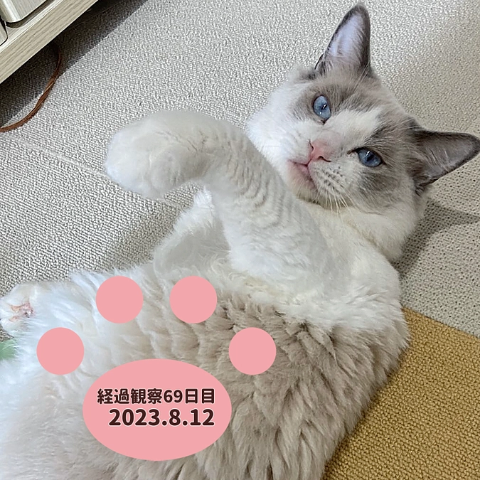 経過観察69日目(2023.8.12)