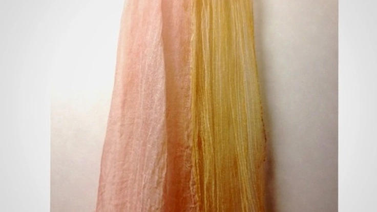 日本の文化、草木染めの生地で作った衣服の写真集を作りたい！