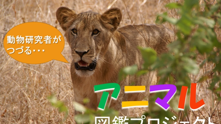 リアルな動物の姿を！現役の動物研究者が綴るアフリカ動物図鑑