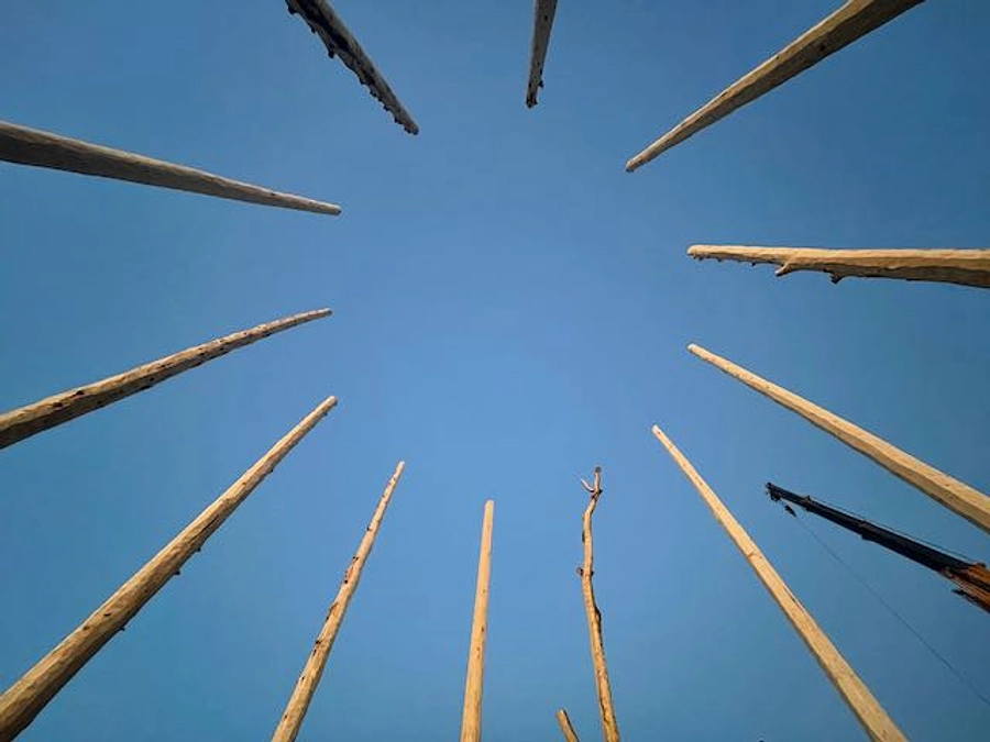 なんと！ウッドサークル完成！12本の柱が建っちゃった！