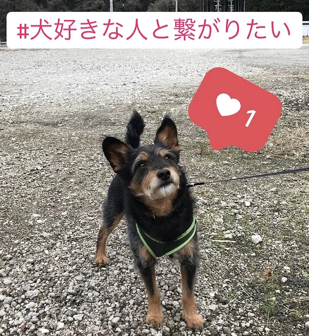 あと11日！！！