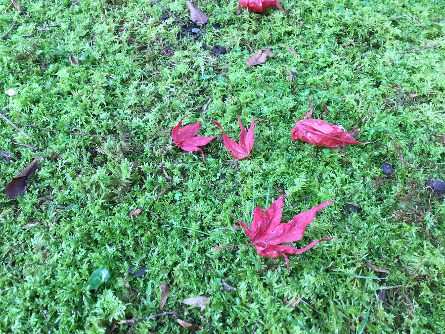 目標まで50％達成！！