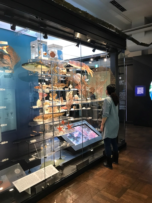 山形ビエンナーレの稽古をなぜ国立科学博物館で行なったのか？