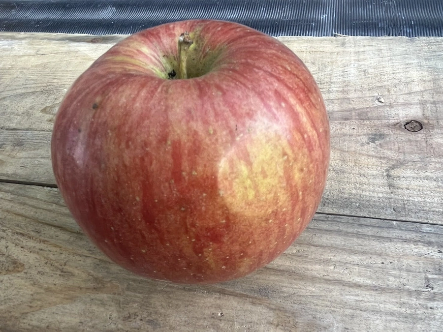 公開から20日目！B級扱いされてしまうりんごについて