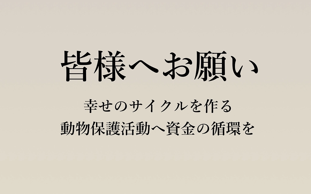 保護活動へ資金の循環を！クラウドファンディングについてお願い