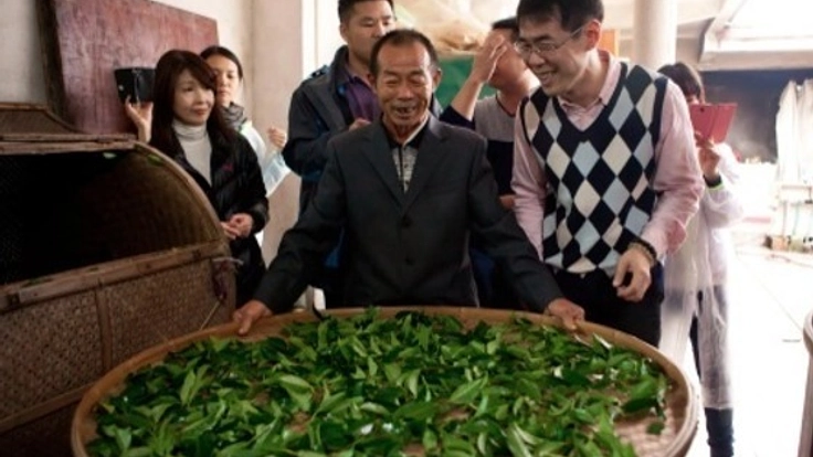 安全な有機中国茶を守り育て、世界に広めたい！