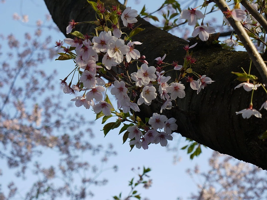 折り返し地点に思う「ご恩やご縁が紡がれ一本の映画になる」