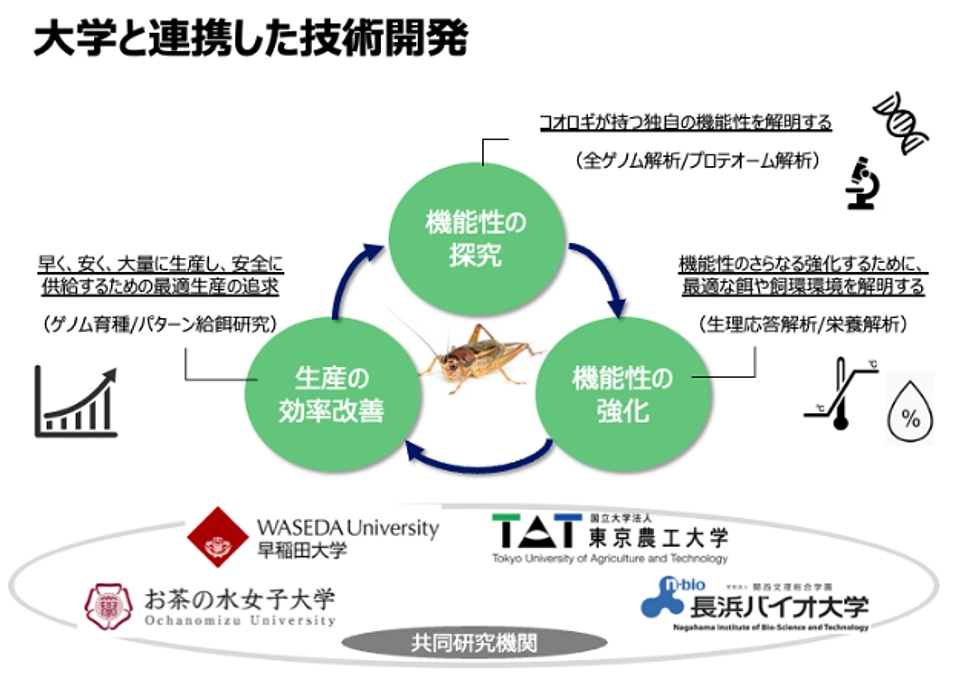大学発ベンチャー企業エコロギーが進める昆虫食の研究開発