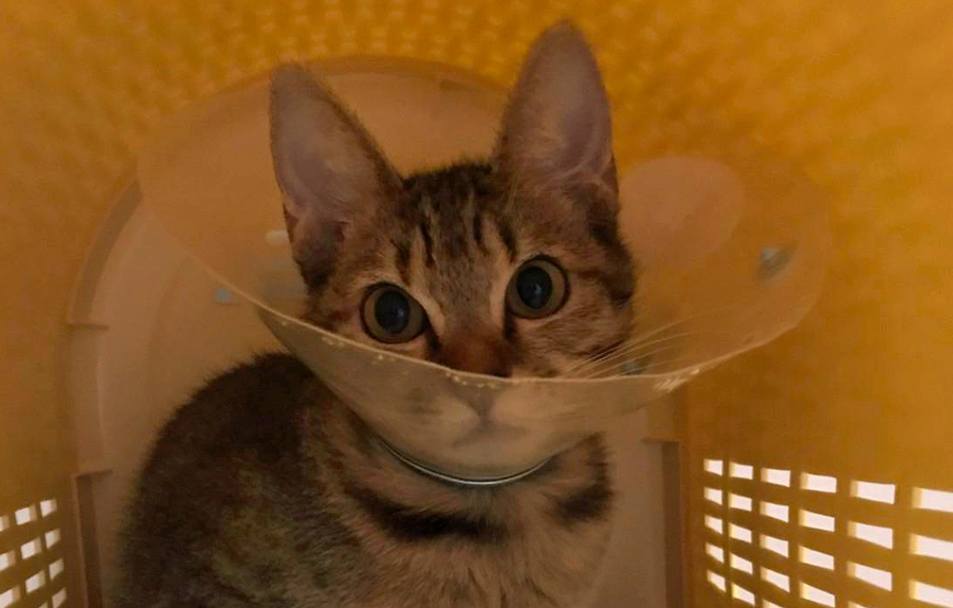 サポートピン抜く