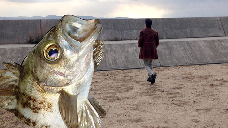 直島に記念撮影したくなるような魚のオブジェを新たに創りたい！