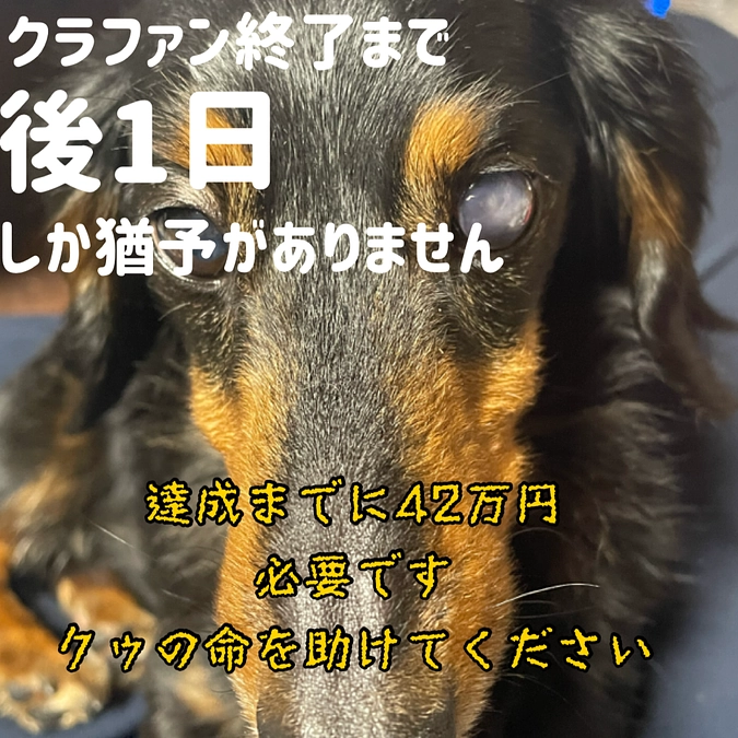 58%まで到達致しました、ありがとうございますm(_ _)m