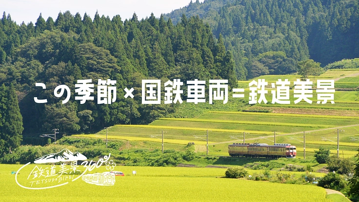 新潟上越｜鉄道ファンの撮影スポットを整備して「鉄美の丘」を作りたい 9枚目