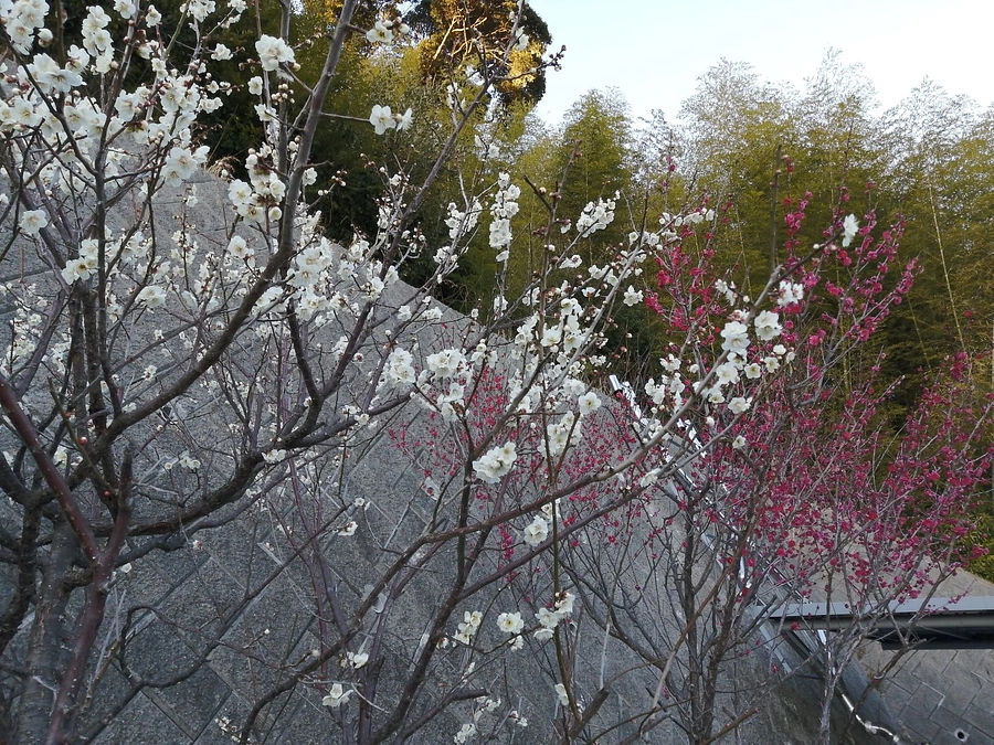 目標の48%を達成しました！全国からの「応援」が続々と！