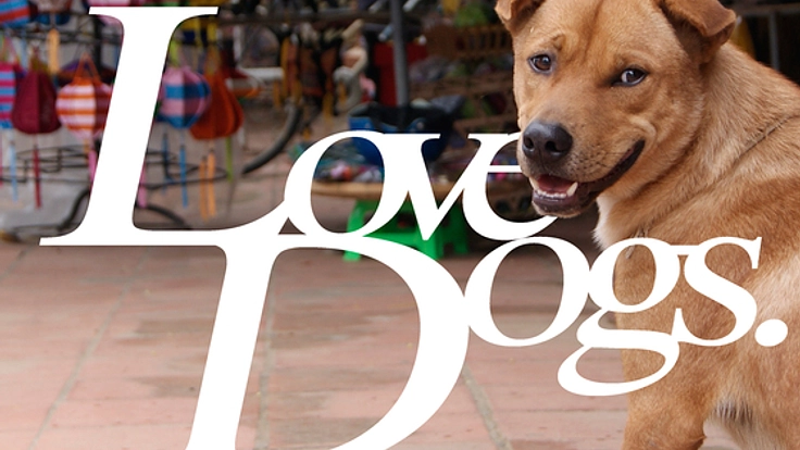 犬に興味を持ってもらうきっかけ作りとして、写真展を実施する