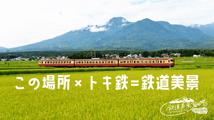 新潟上越｜鉄道ファンの撮影スポットを整備して「鉄美の丘」を作りたい 8枚目