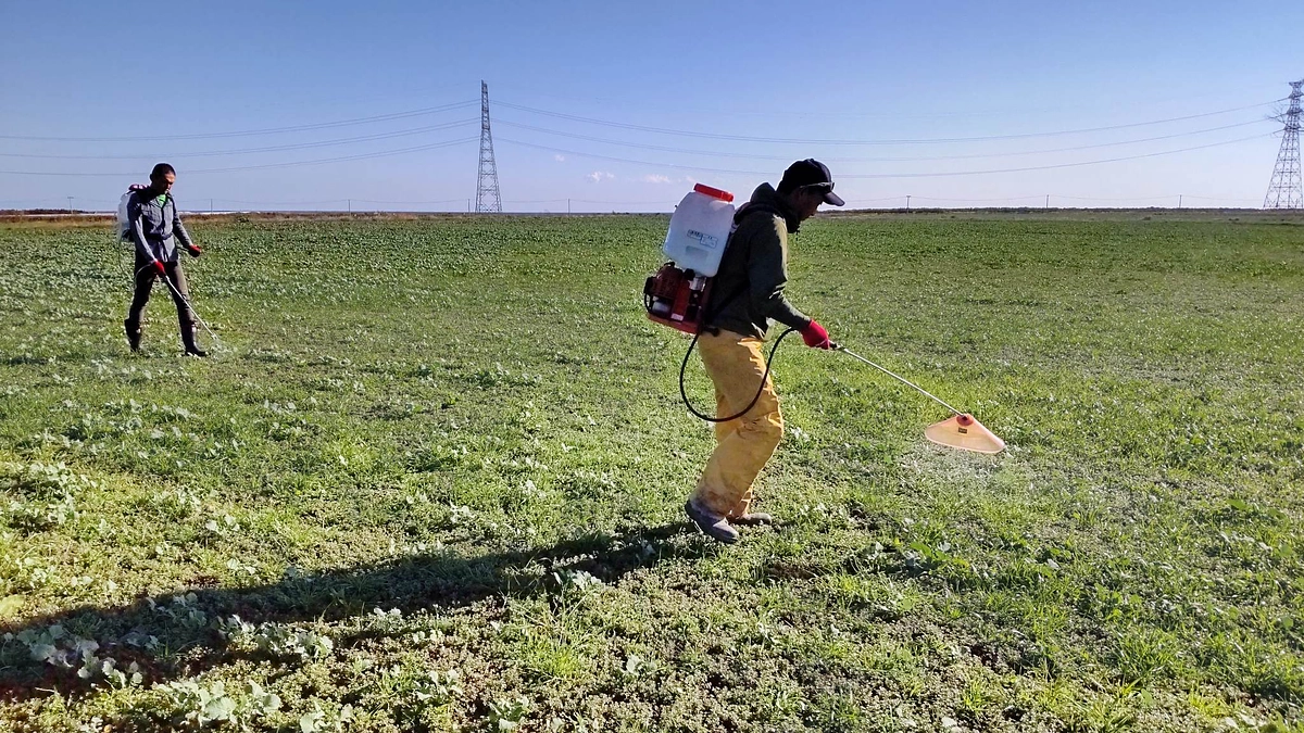 ネクストゴールを目指します！