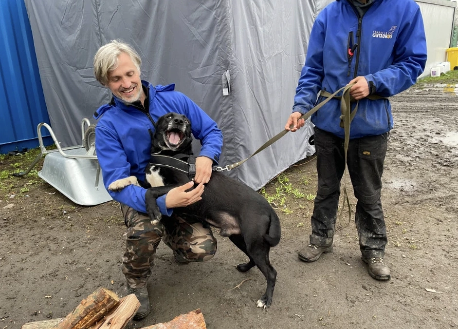 戦火の中の犬と猫〜ウクライナの動物保護
