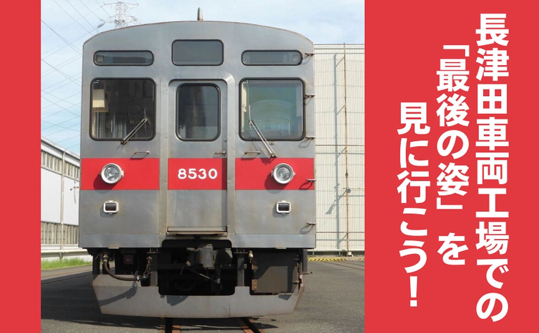 【限定8名】ハチゴープロジェクト最後となるリターン追加です！