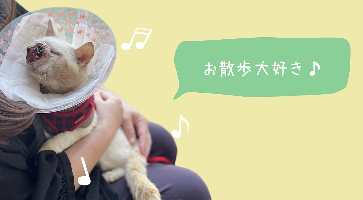 【お散歩大好き！】