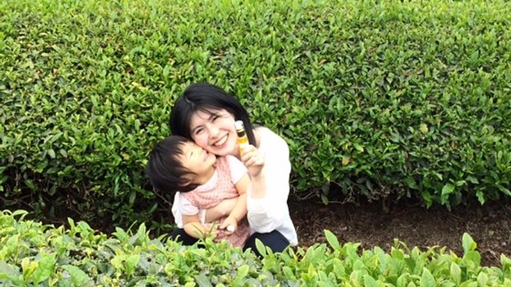 お茶の実から取れるオーガニックスキンケアオイルを作りたい！