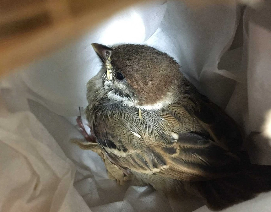 代理支援について 〜インターネットでのご支援が難しい方へ〜